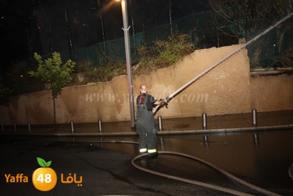 fire minas2 sterer (25).JPG